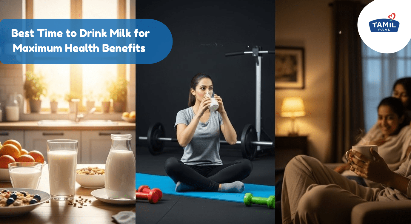 Best Time to Drink Milk for Maximum Health Benefits – A Complete Guide by Tamil Paal - Tamil Paal