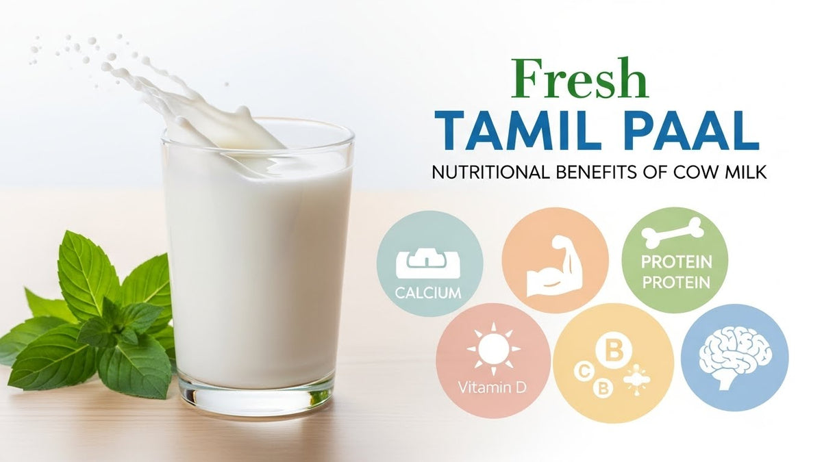 Fresh Tamil paal: Nutritional Benefits of Cow Milk - Tamil Paal