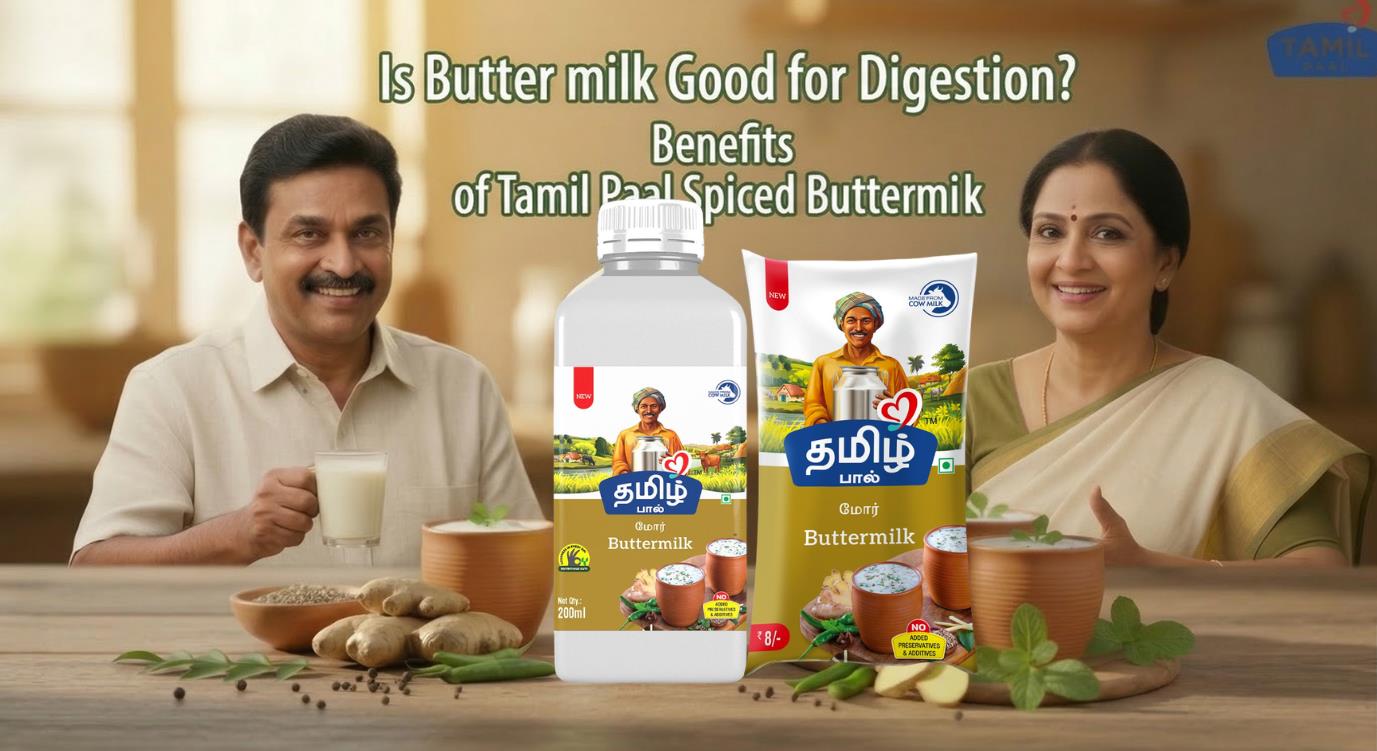 Is Buttermilk Good for Digestion? Benefits of Tamil Paal Spiced Buttermilk - Tamil Paal