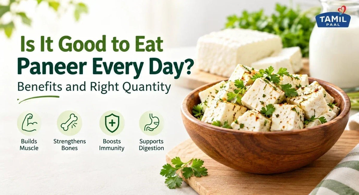 Is It Good to Eat Paneer Every Day? Benefits and Right Quantity - Tamil Paal