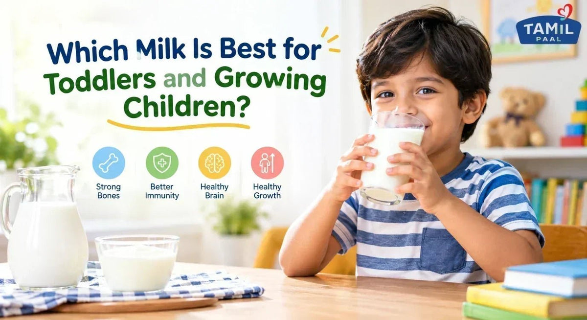 Which Milk Is Best for Toddlers and Growing Children? - Tamil Paal