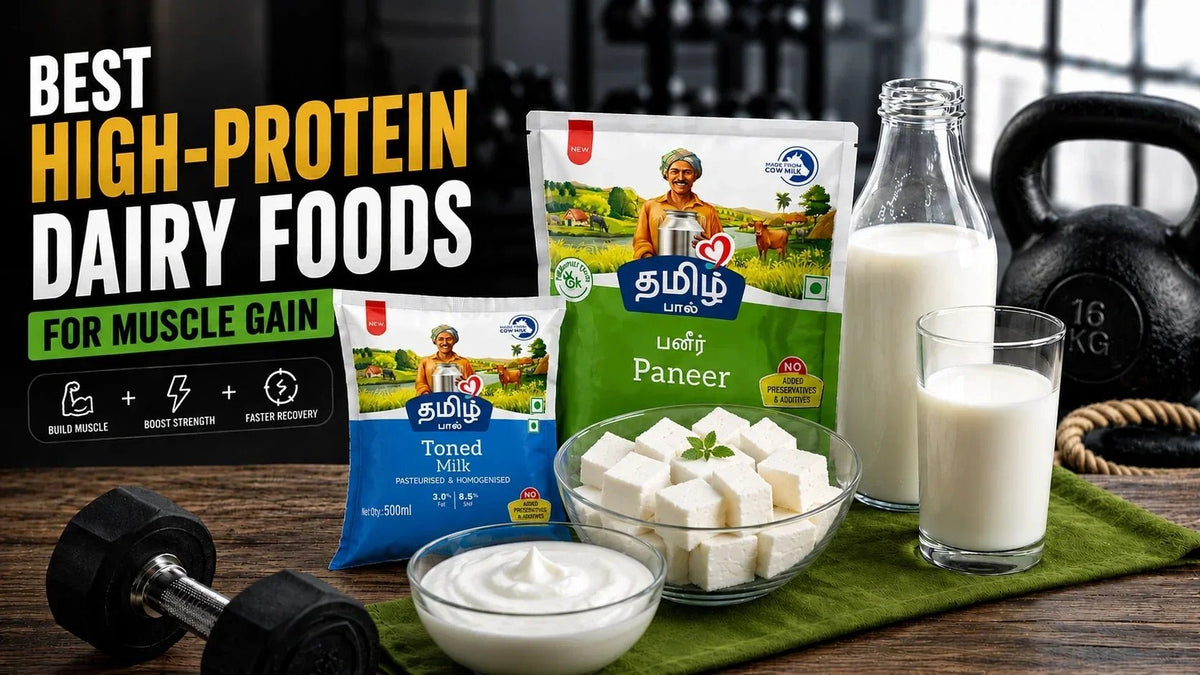Best High-Protein Dairy Foods for Muscle Gain - Tamil Paal