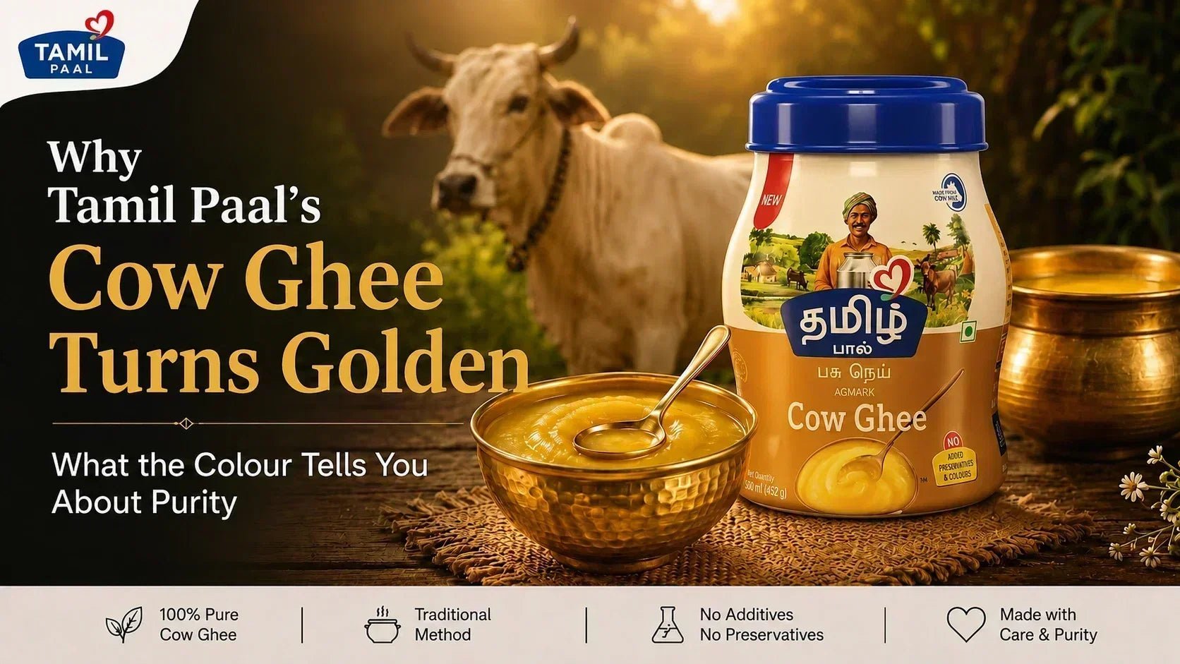 Why Tamil Paal's Cow Ghee Turns Golden What the Colour Tells You About Purity - Tamil Paal